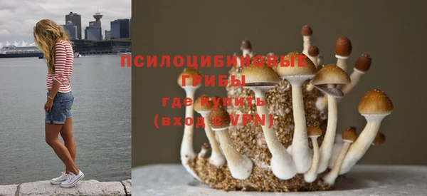 марки lsd Алексеевка