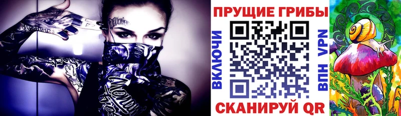 Псилоцибиновые грибы ЛСД  Новое Девяткино 