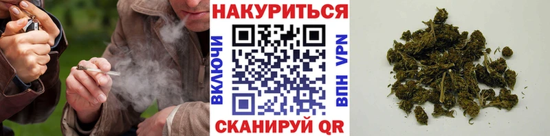магазин продажи наркотиков  Новое Девяткино  KRAKEN как зайти  Бошки марихуана OG Kush 